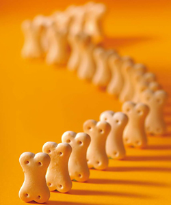 痛风和类风湿关节炎的区别 痛风和类风湿关节炎的区别