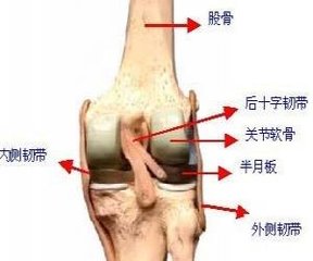 滑膜炎长期不愈会有哪些后果? 滑膜炎长期不愈会有哪些后果?