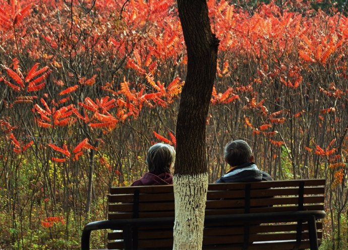 在冬季治疗风湿病较好的治疗方法是什么 在冬季治疗风湿病较好的治疗方法是什么
