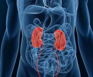 ֣ݺŷʪҽԺרҽʹ᲻ᵼ˥ߣ