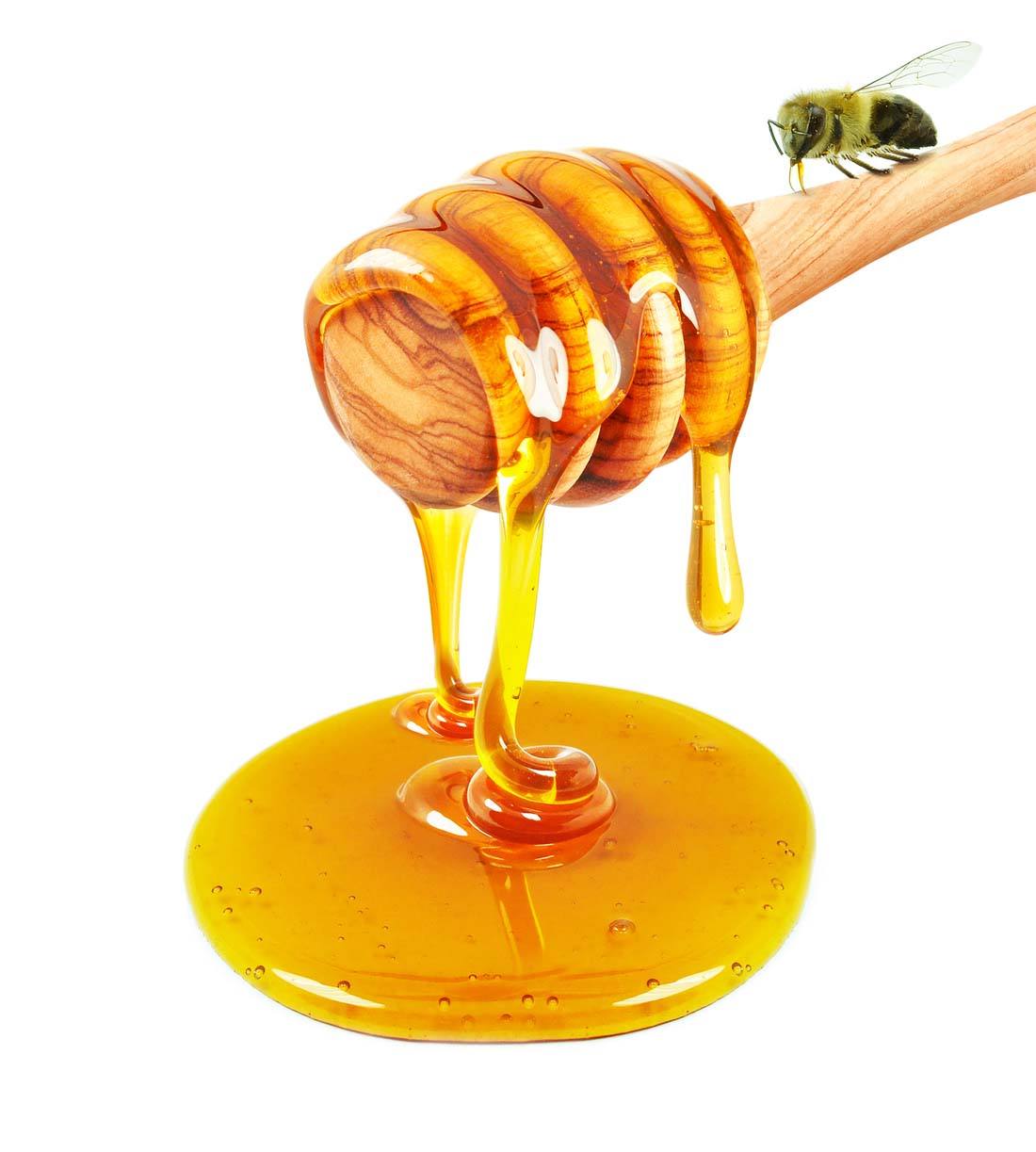 ֣ʪҽԺרҽʪ߿ԳԷʳЩע