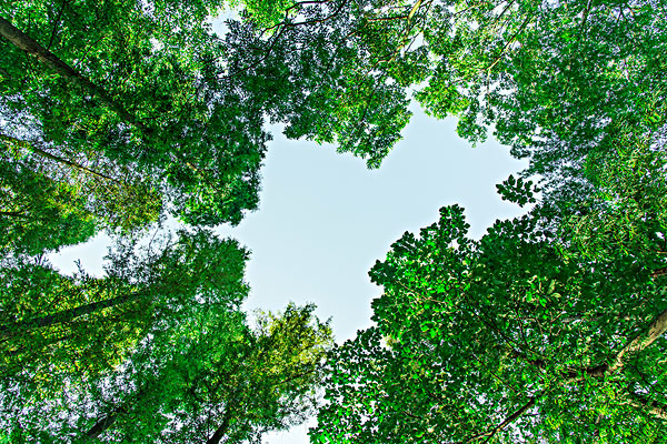 ֣ݷʪҽԺרָԶ纮Ҳ Ԥʪ