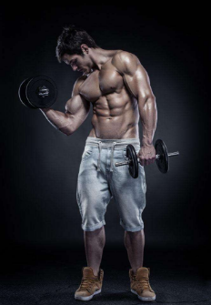 ʪΪһַʺܸߵļԤʪ