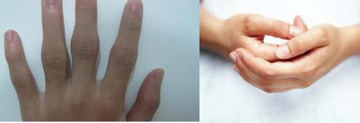 ʪרָʪԹؽ׵ƴеС¿ʼ