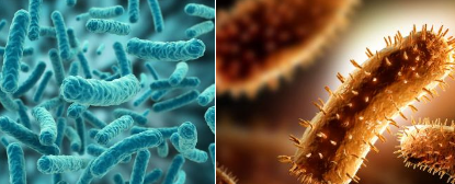 ǲǵ·ʪ֮һǲֱӵĲ