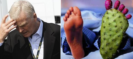 ԶʹʲôԭʳҪѭЩԭ