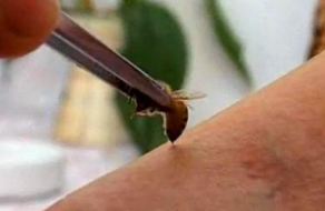 䶾ƷƷʪԹؽ𣬷ʪЩע