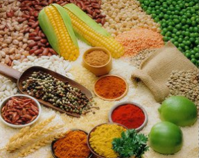 ʪؽ׵ĻҪҪɿڣЩʳҪɿڣ