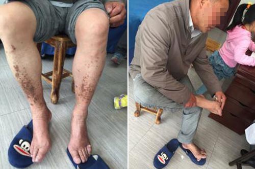 20ʹ综Ժܹ淶ƺػ񽡿